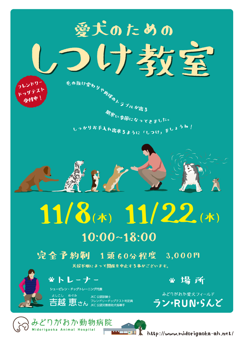 愛犬しつけ教室　2018年11月8日（木）、11月22日（木）毛の抜け変わりや肉球のトラブルが出る肌寒い季節になってきました。しっかりお手入れ出来るように「しつけ」ましょうね！北海道釧路市緑ヶ岡のみどりがおか動物病院