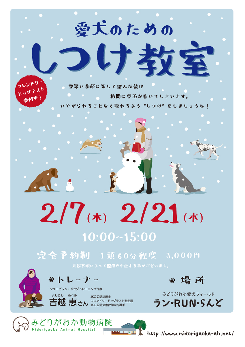 愛犬しつけ教室　2019年3月14日（木）、2月25日（木）雪深い季節に楽しく遊んだ後は指間雪玉が着いてしまいます。いやがられることなく取れるよう”しつけ”をしましょうね！　北海道釧路市緑ヶ岡のみどりがおか動物病院
