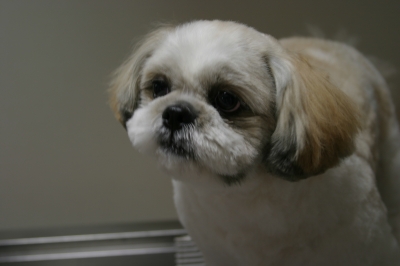 林銀次郎2011.6.16 (2).JPG