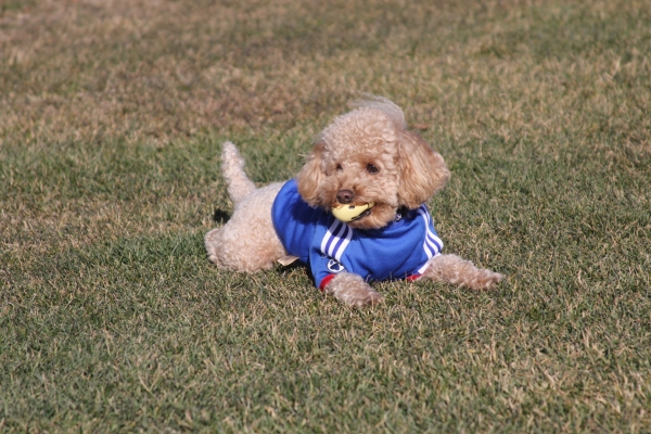 IMG_3600 - コピー.JPG