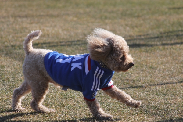 IMG_3615 - コピー.JPG