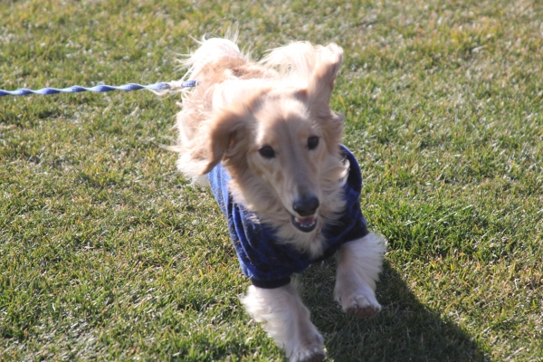 IMG_3619 - コピー.JPG