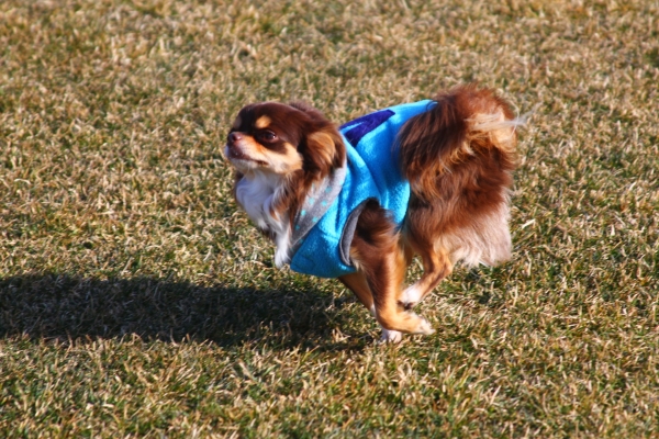 IMG_3641 - コピー.JPG