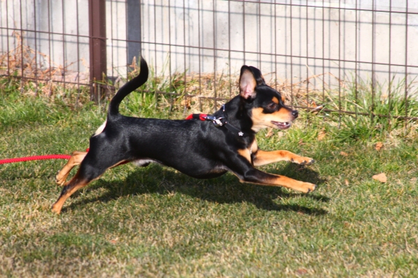 IMG_3658 - コピー.JPG