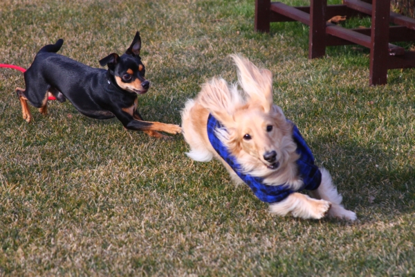 IMG_3672 - コピー.JPG