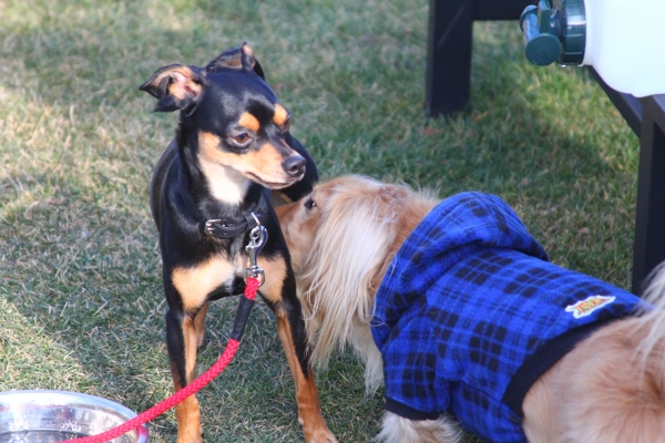 IMG_3674 - コピー.JPG