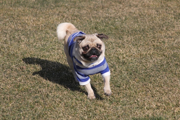 IMG_3709 - コピー.JPG