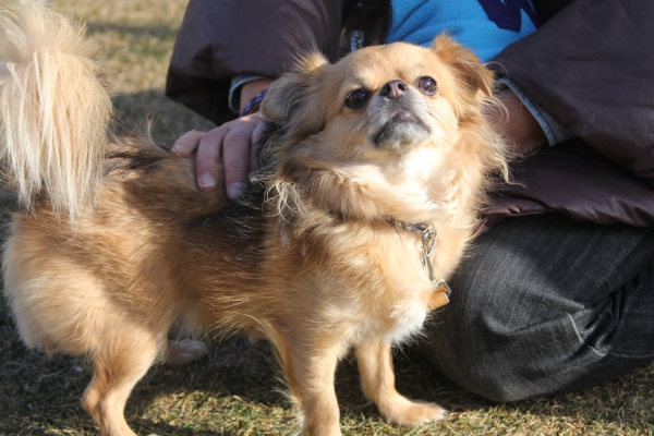 IMG_3720 - コピー.JPG