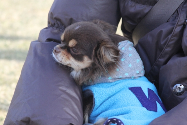 IMG_3726 - コピー.JPG