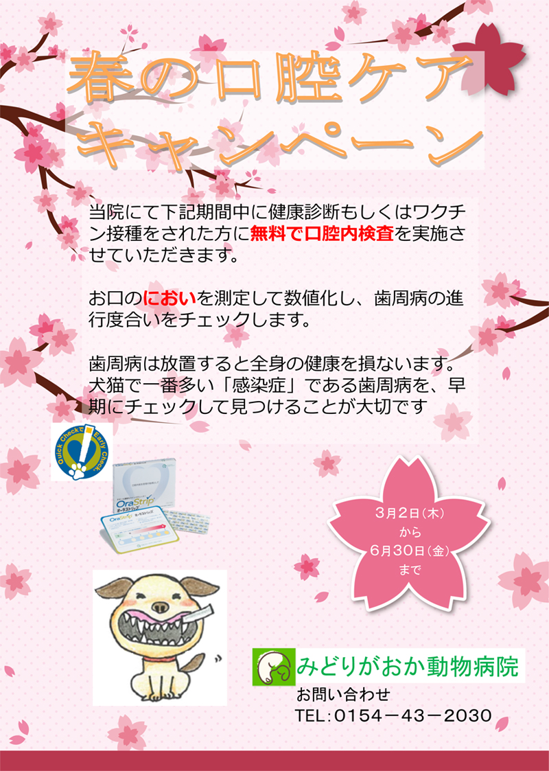 春の口腔ケアキャンペーン　みどりがおか動物病院