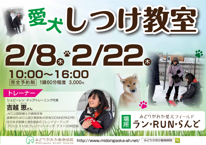愛犬しつけ教室　2018年2月8日（木）、2月22日（木）愛犬についてのお悩みはありませんか？しつけ教室を開催いたします。　北海道釧路市緑ヶ岡のみどりがおか動物病院