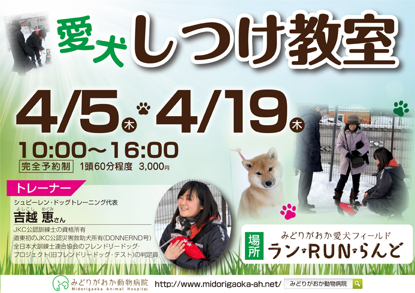 愛犬しつけ教室　2018年4月5日（木）、4月19日（木）愛犬についてのお悩みはありませんか？しつけ教室を開催いたします。　北海道釧路市緑ヶ岡のみどりがおか動物病院