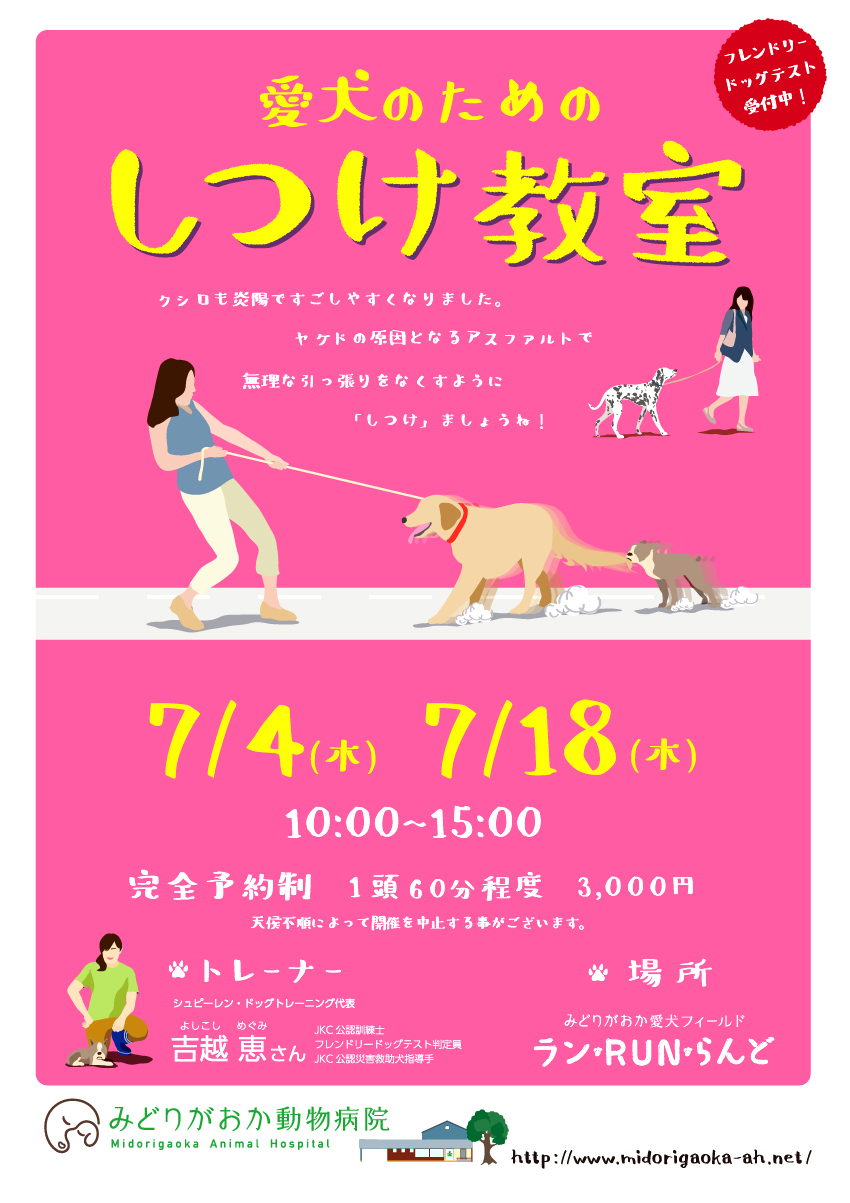 愛犬しつけ教室　2019年7月4日（木）、7月18日（木）クシロも炎陽ですごしやすくなりました。ヤケドの原因となるアスファルトで無理な引っ張りをなくすように「しつけ」ましょうね！　北海道釧路市緑ヶ岡のみどりがおか動物病院