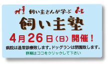 飼い主さんが学ぶ
犬のしつけ教室
4月26日(日)開催!
病院は通常診療致します。ドッグランは閉園致します。
詳細はココをクリックして下さい